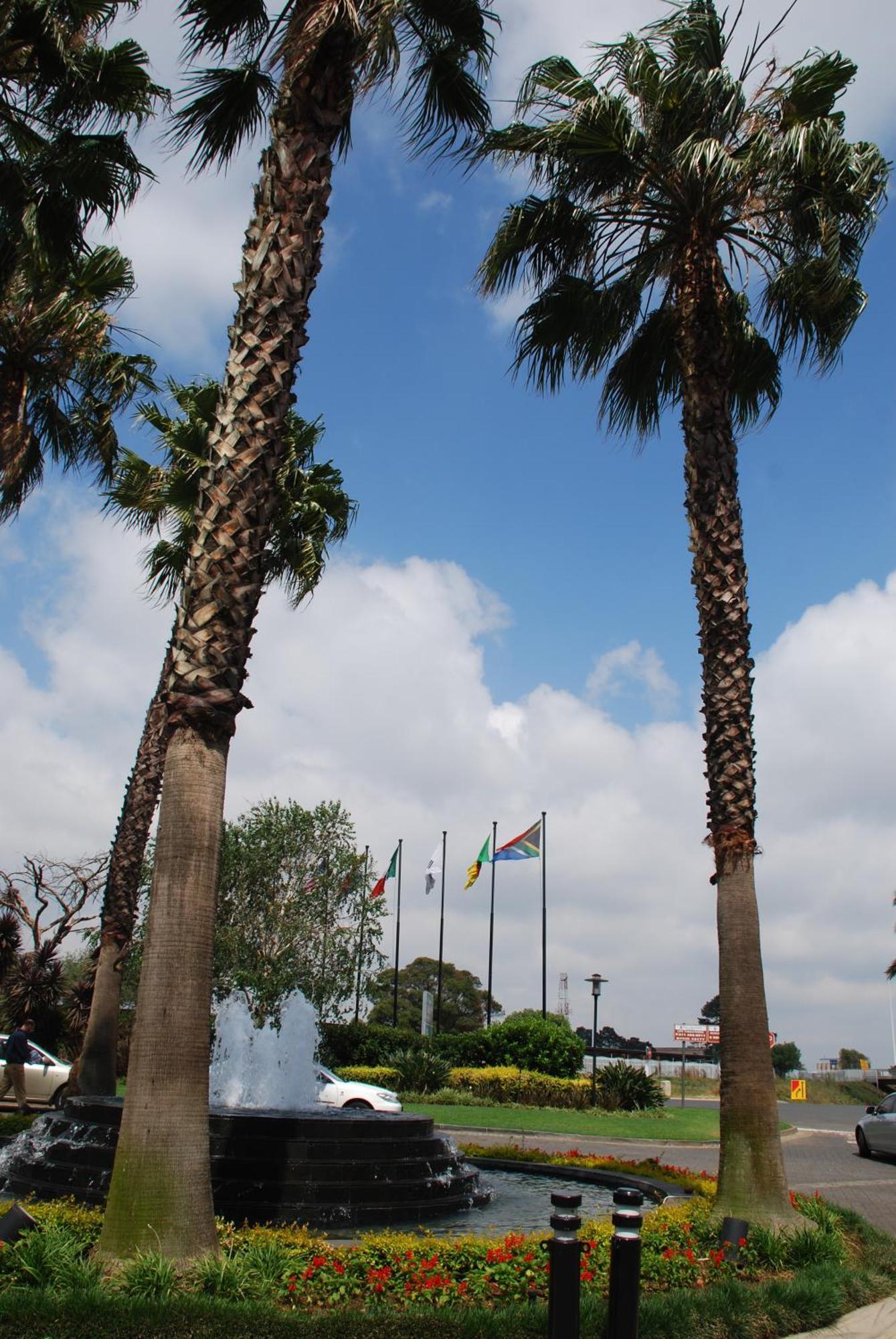 Southern Sun Or Tambo International Airport Kempton Park Buitenkant foto Welcome to Port Elizabeth